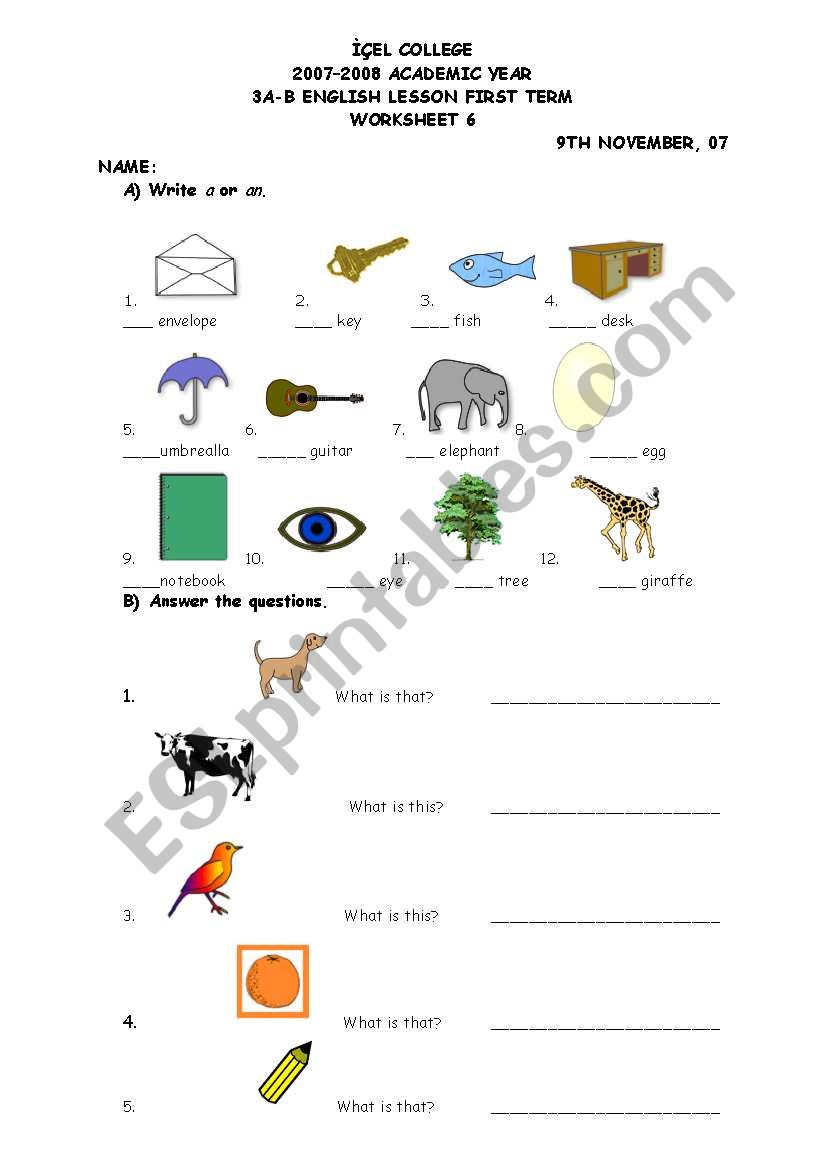 A/An worksheet