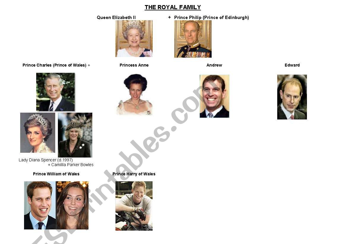 The royal family worksheet