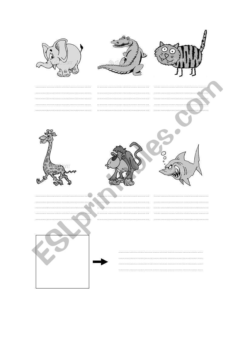 describe animals worksheet