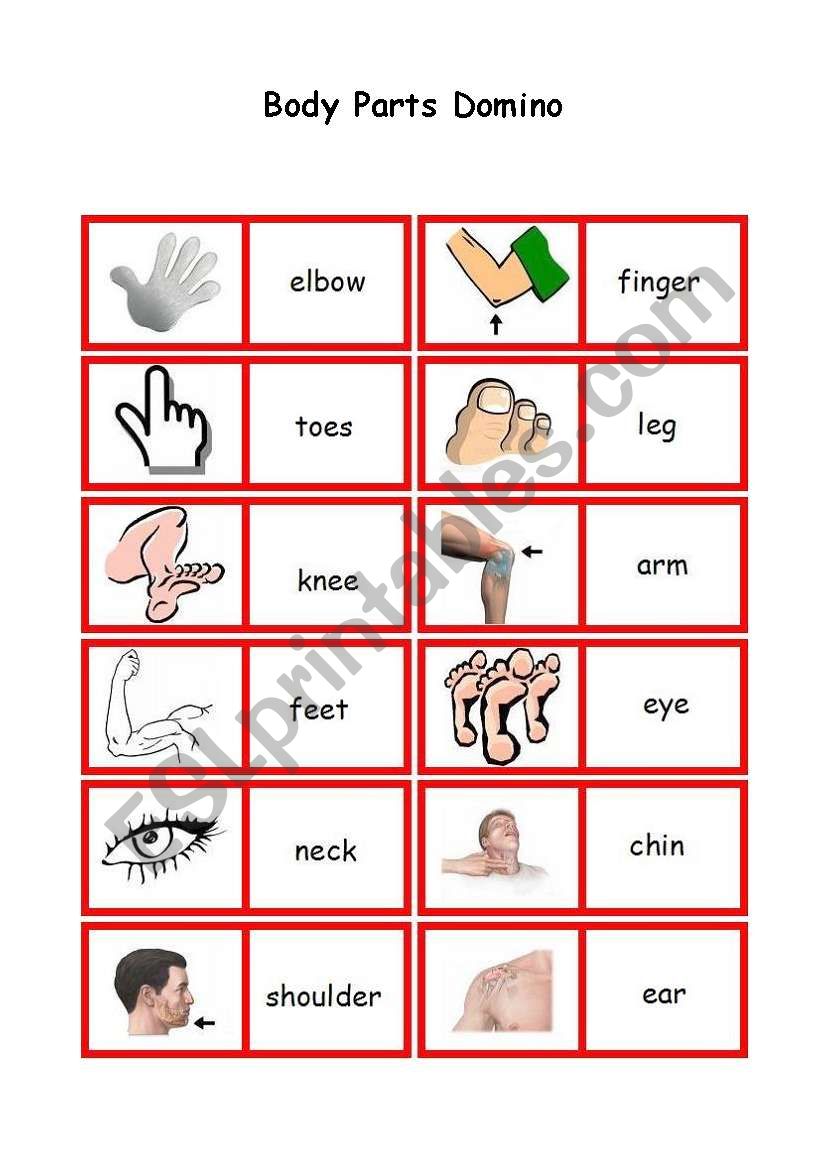 Body Parts Domino worksheet