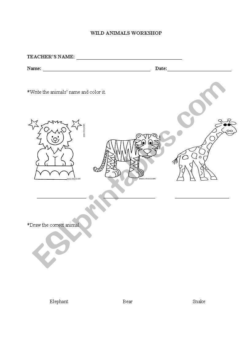 Wild Animals Workshop worksheet