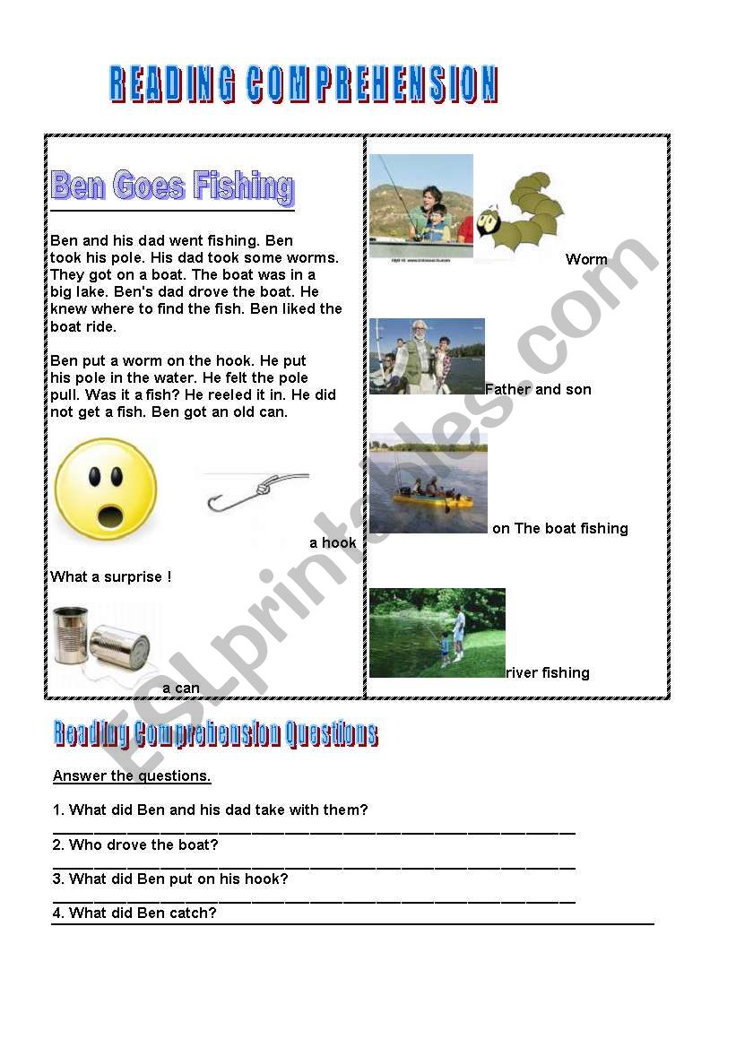 Test : Reading Comprehension  worksheet