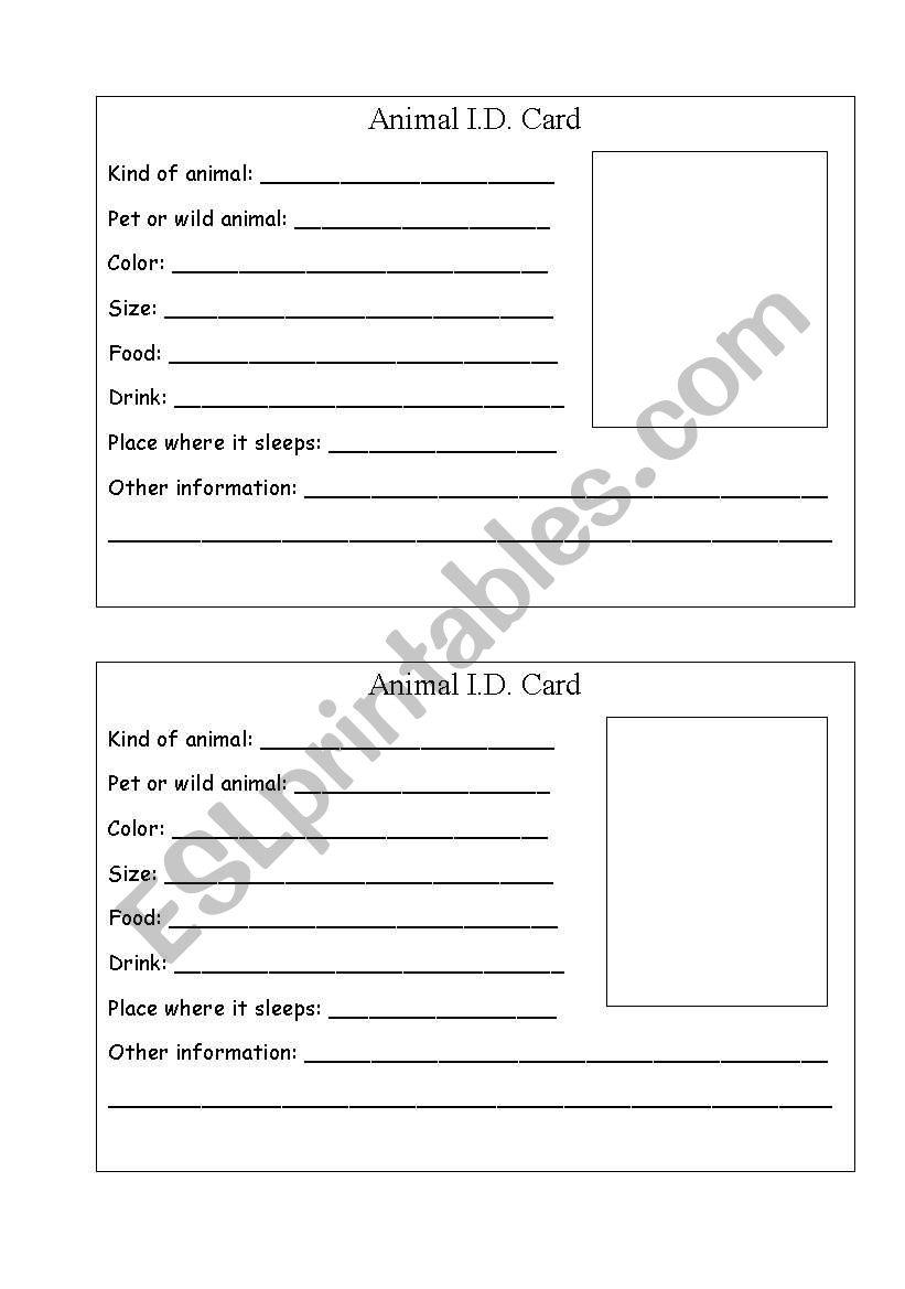 Animal ID cards worksheet