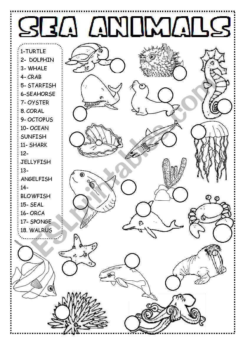 SEA ANIMALS WORKSHEET/PICTIONARY