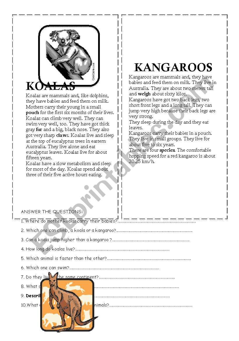 koalas and kangaroos worksheet