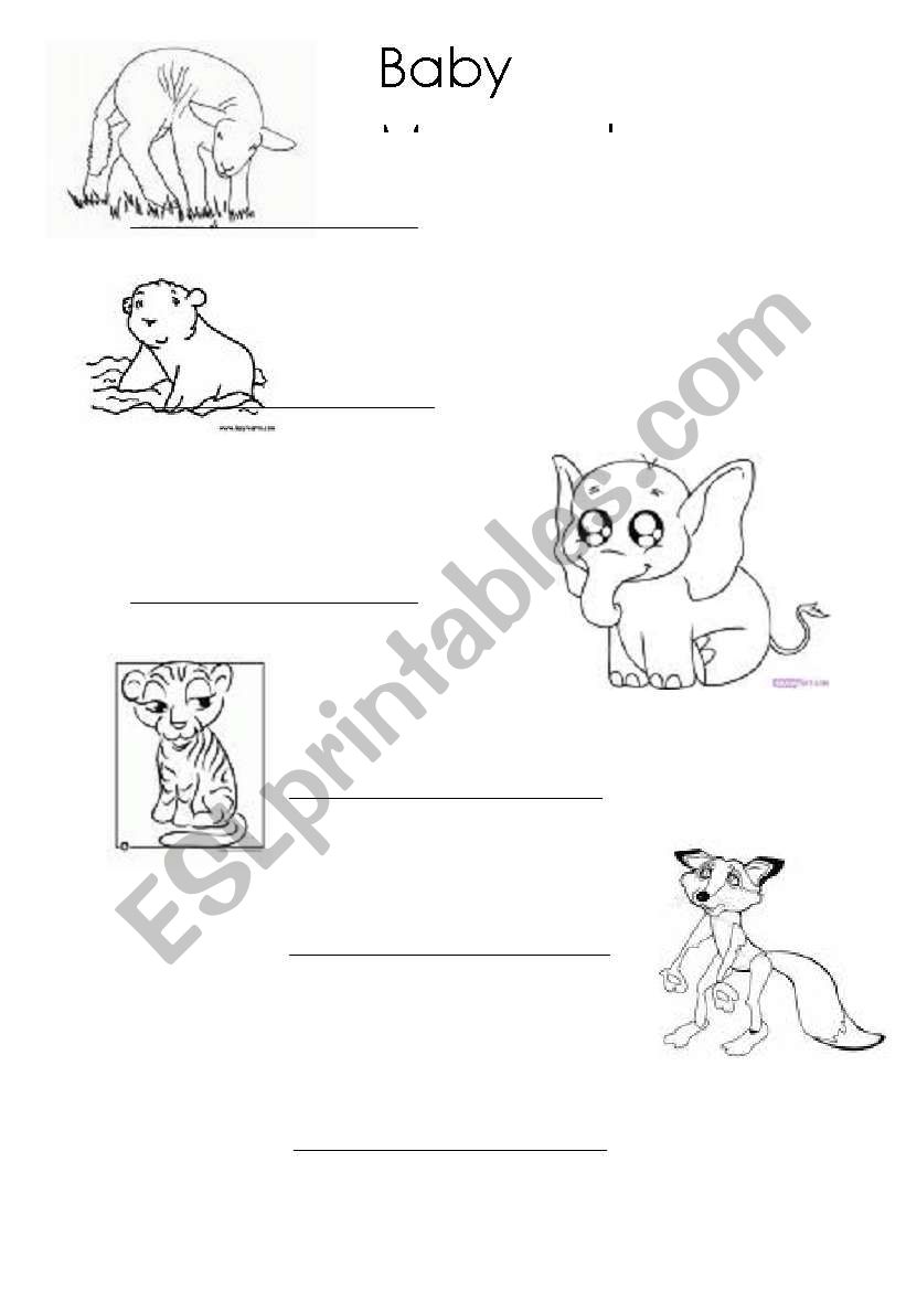 Baby animals worksheet