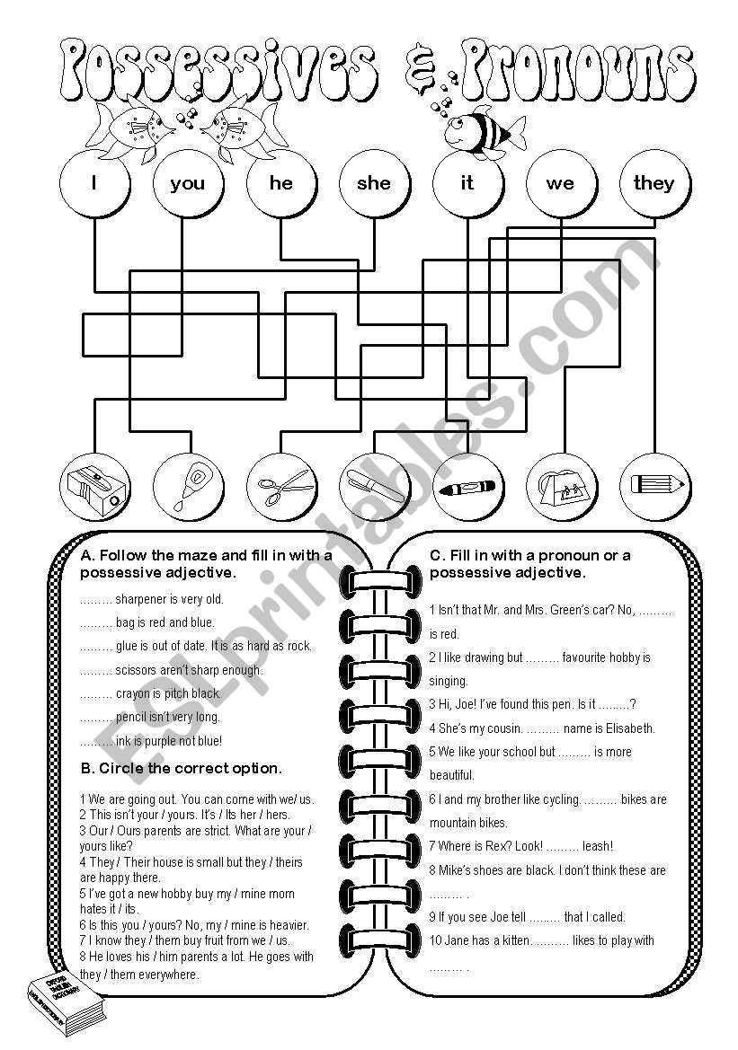 this-is-a-reference-tool-for-students-to-help-them-use-possessive-adjectives-pronouns