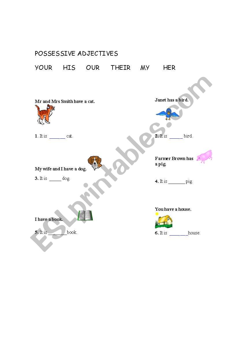 Possesssive adjectives worksheet