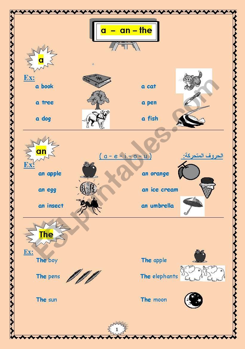  (a -an -the) definite and indefinite articles.