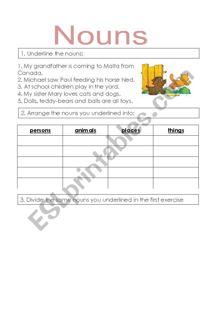 nouns exercises  worksheet