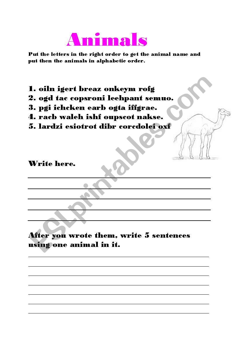 Animals worksheet