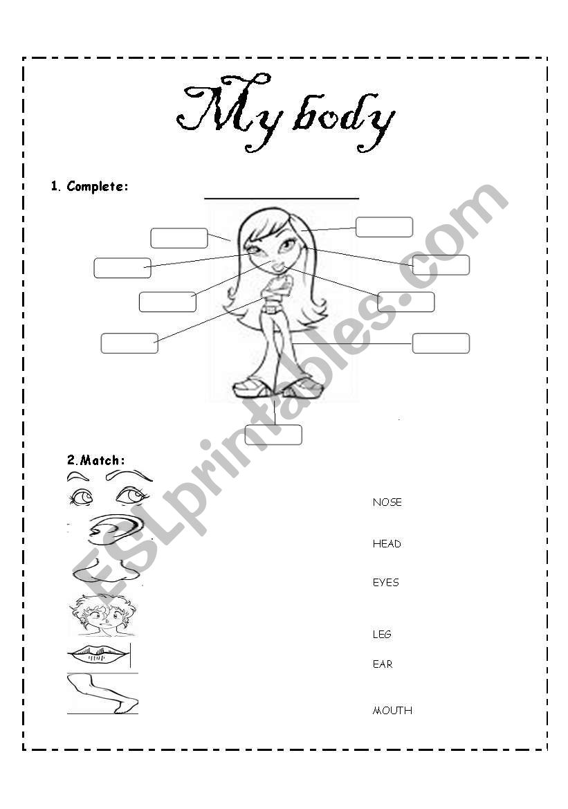 my body worksheet