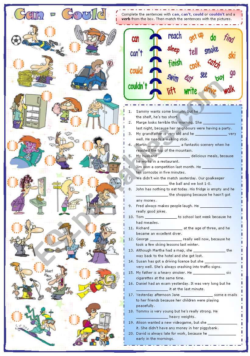 Can - Could (2) worksheet