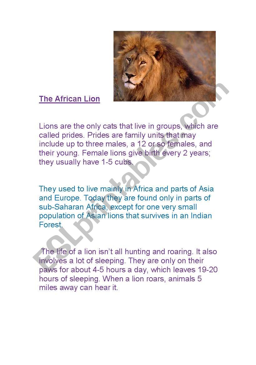 Reports- The African lion worksheet