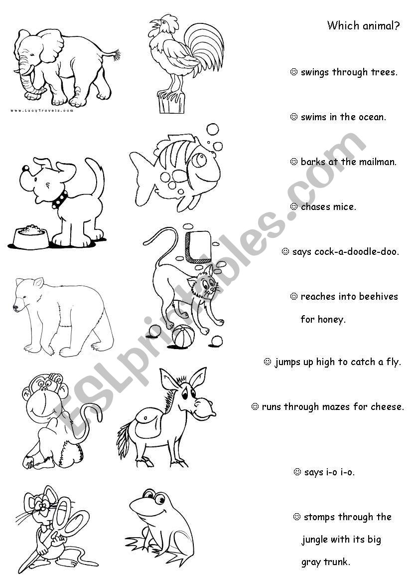 Animals worksheet