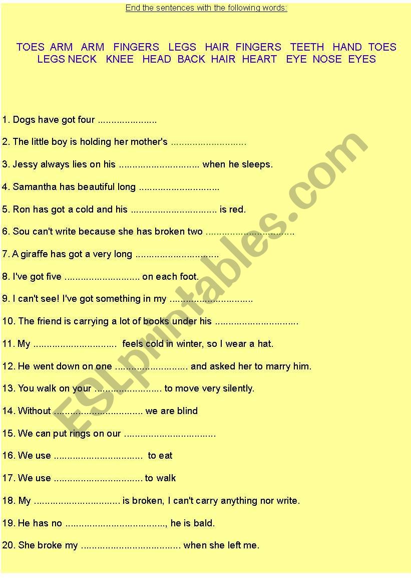 Human body / body parts worksheet
