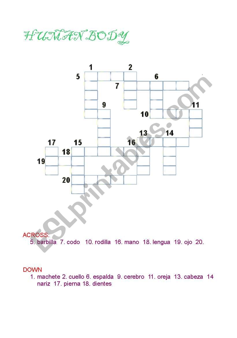 Human body / body parts worksheet