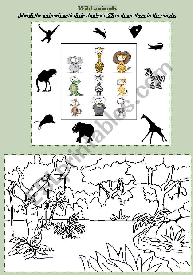 Wild animals: match and draw! worksheet