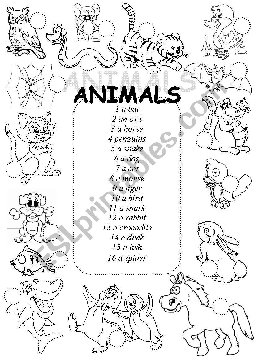 Animals - matching worksheet