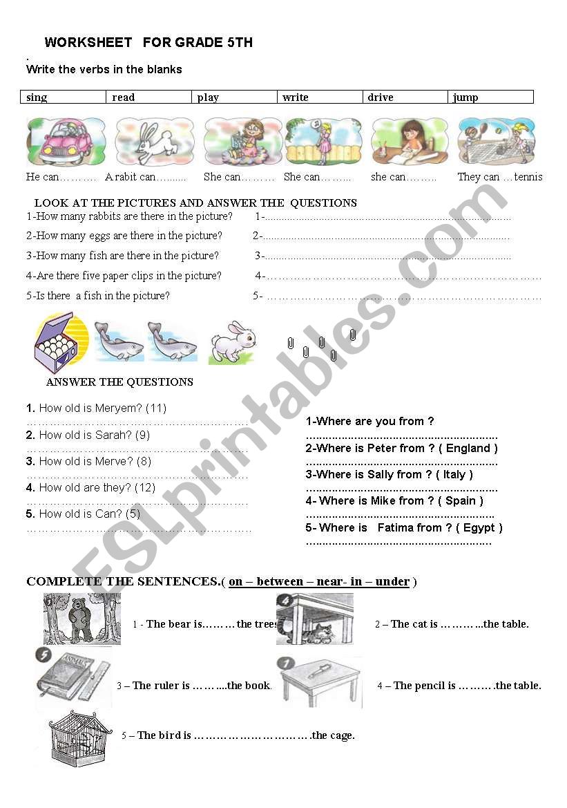 worksheet for 5th grades worksheet