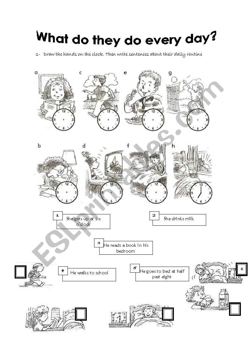 Present Simple worksheet