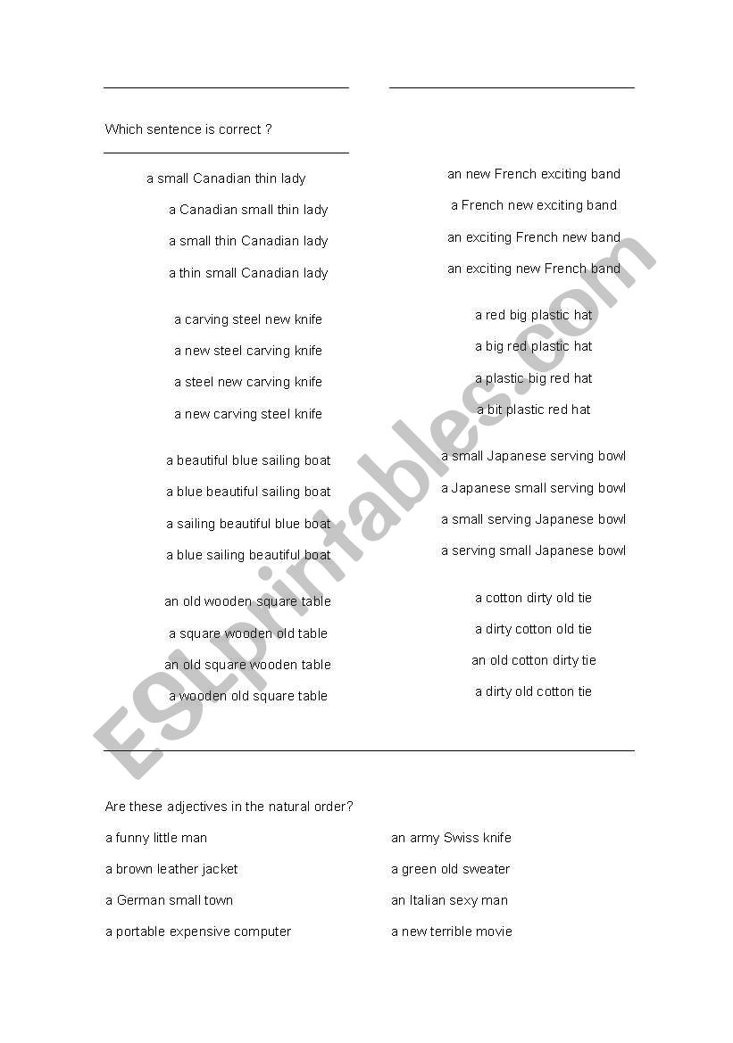 Adjective Placement worksheet