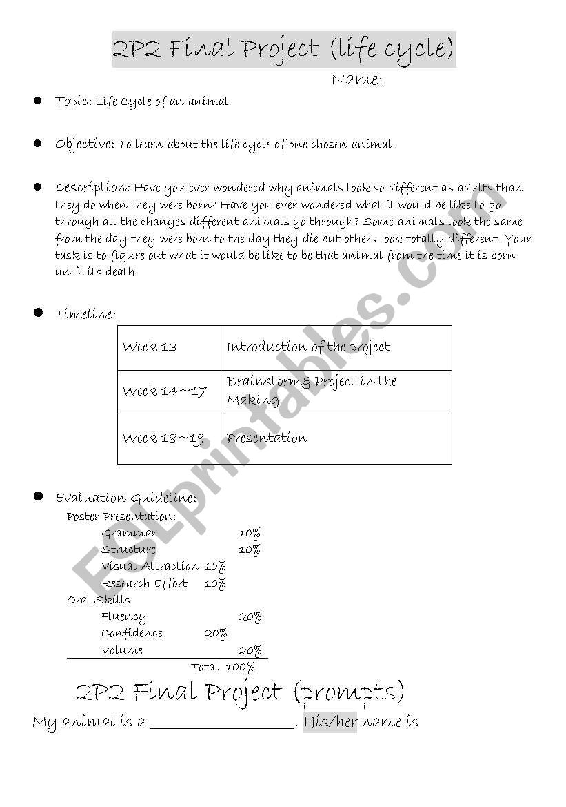 Life Cycle of animals worksheet