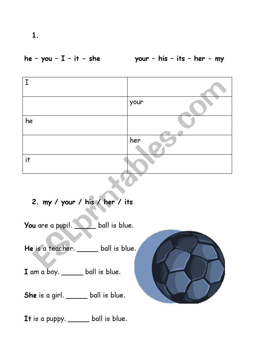 english-worksheets-possessive-adjectives