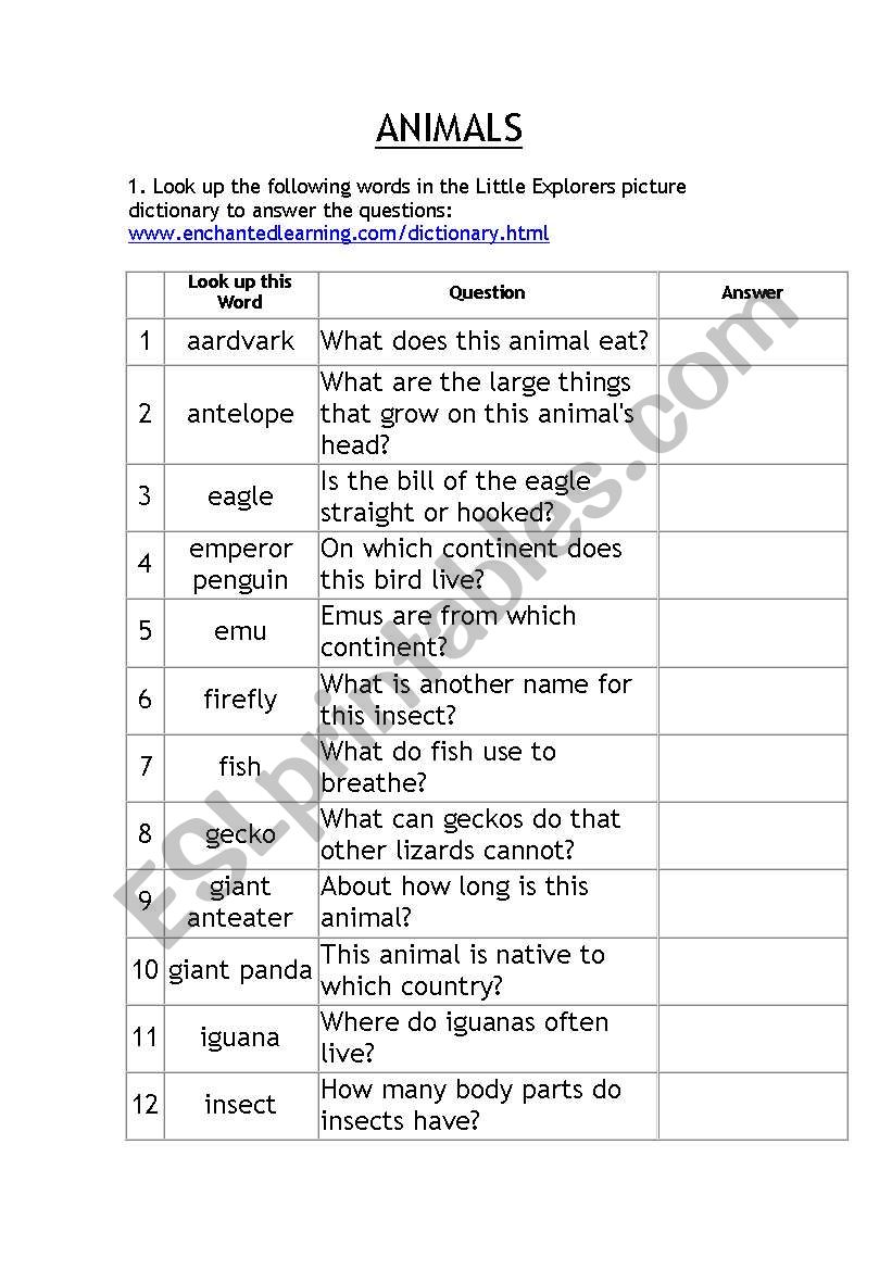 Animals Internet Activity worksheet