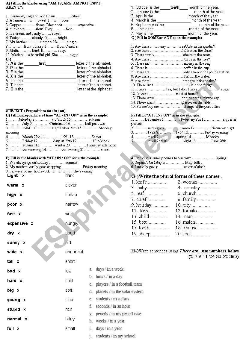 quiz worksheet