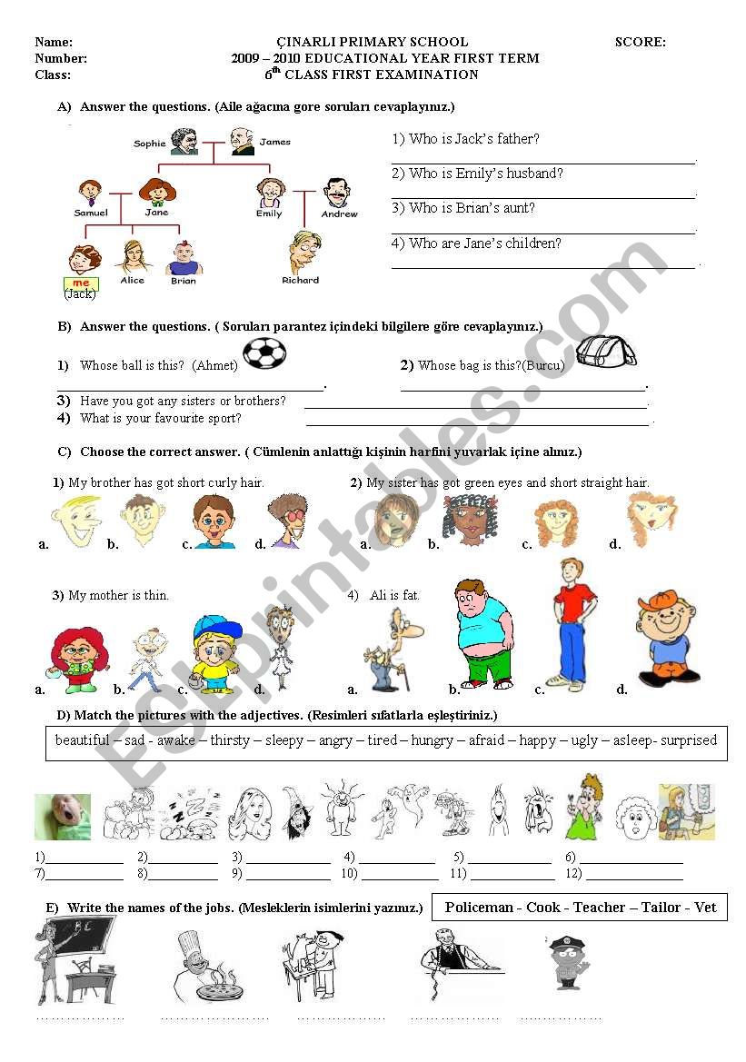 Exercises For Elementary Students ESL Worksheet By Sedefg l