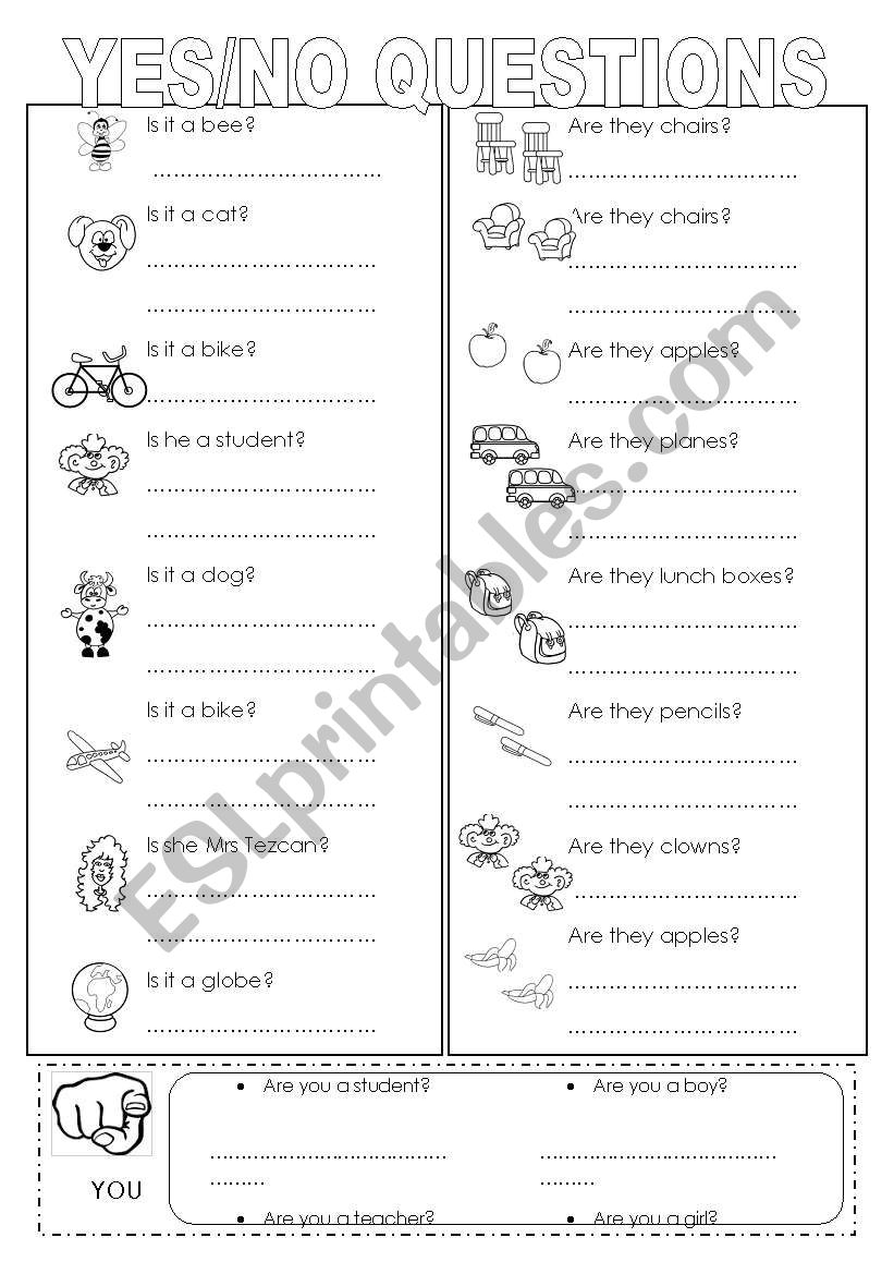 yes/no questions (easy) worksheet