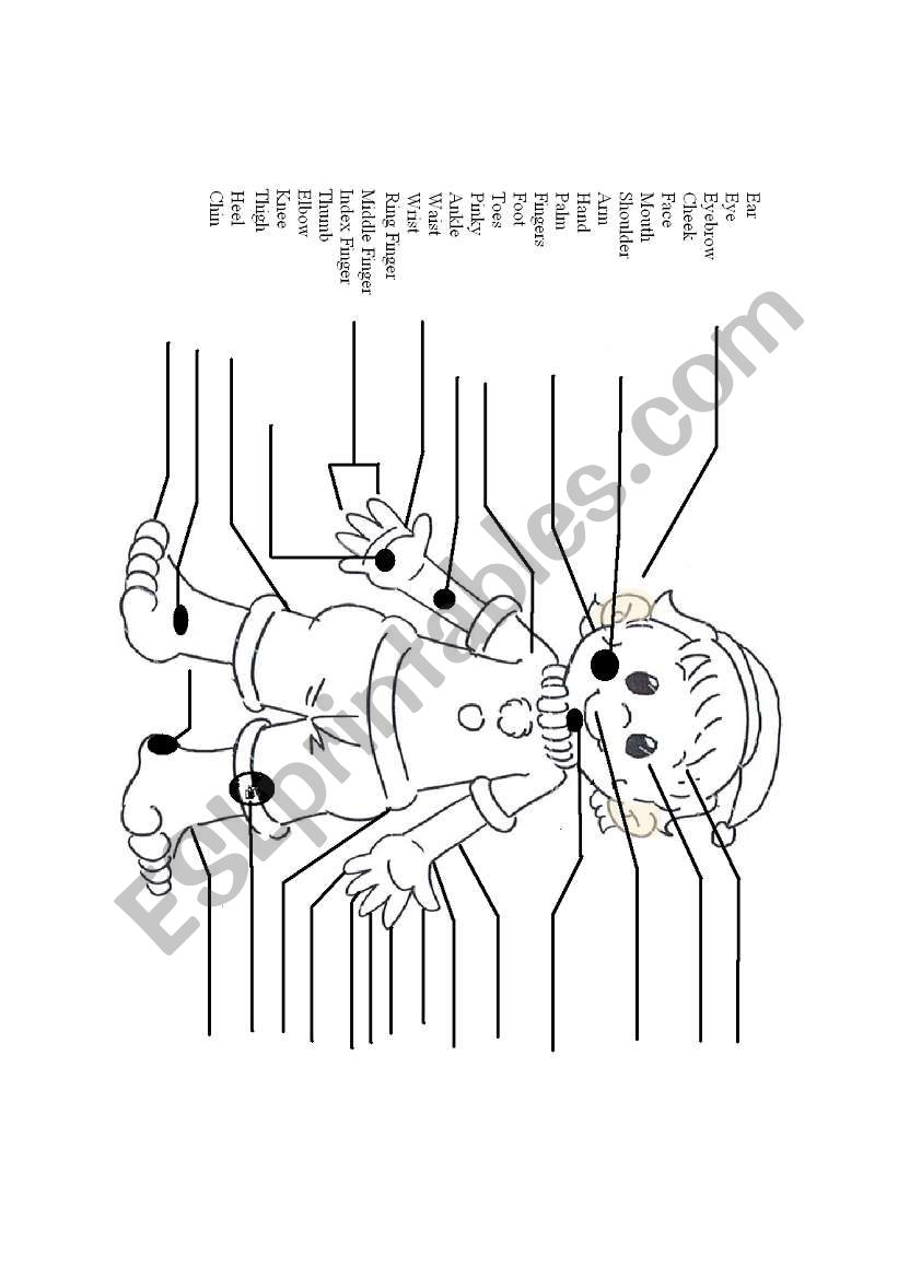 Body Parts Worksheet (26 Words)