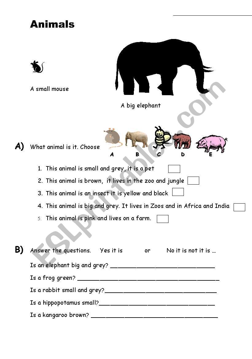 Animals big or small worksheet