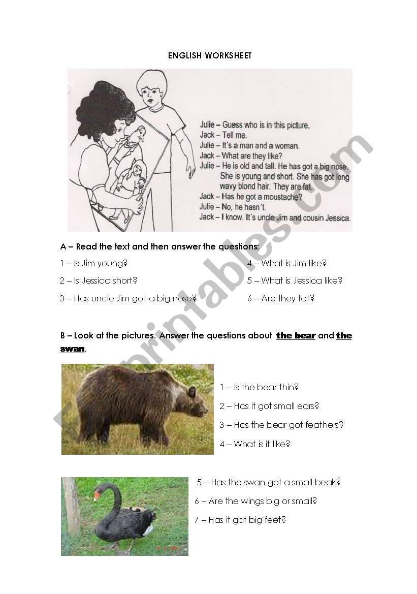 Test - Describing people and animals