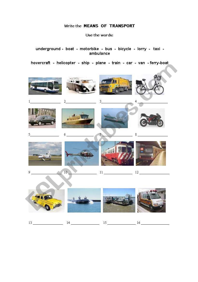 Means of transport  - full worksheet