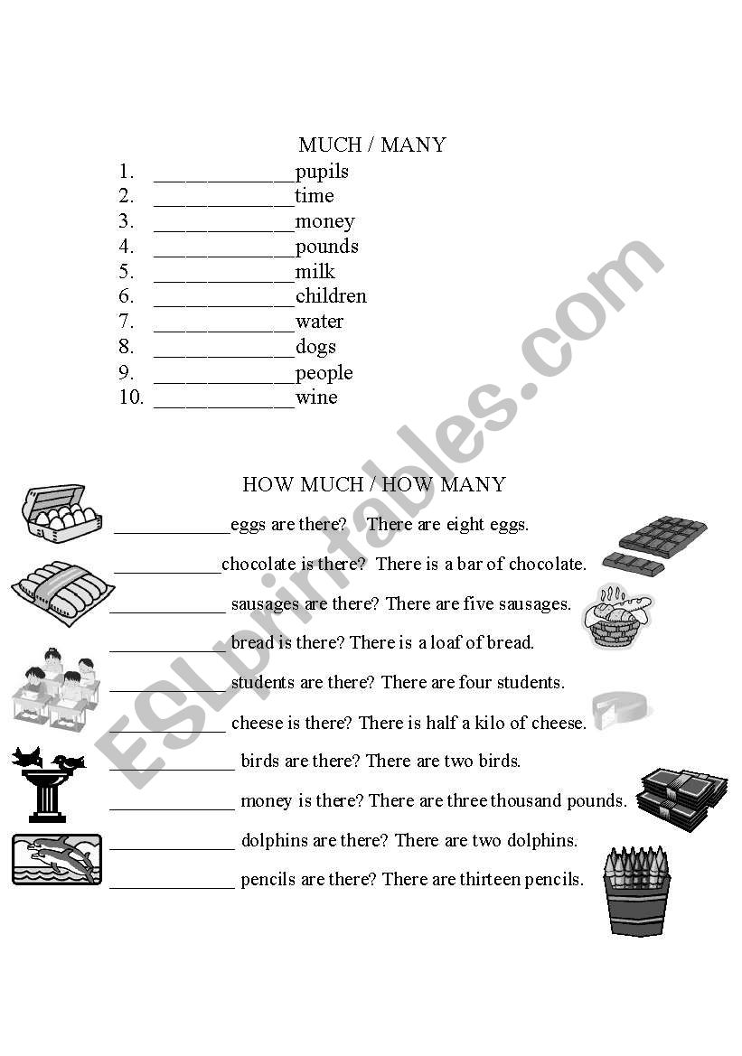 quantifiers worksheet