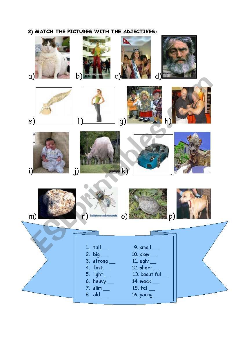 match adjectives worksheet