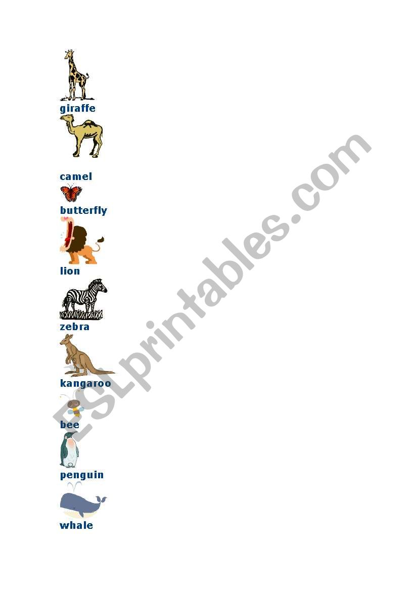 animals worksheet