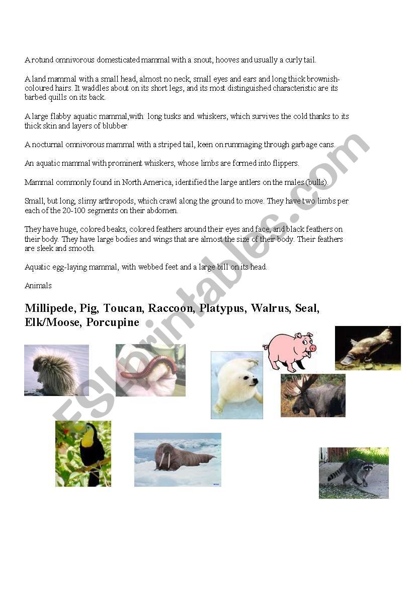 what animal am I? worksheet