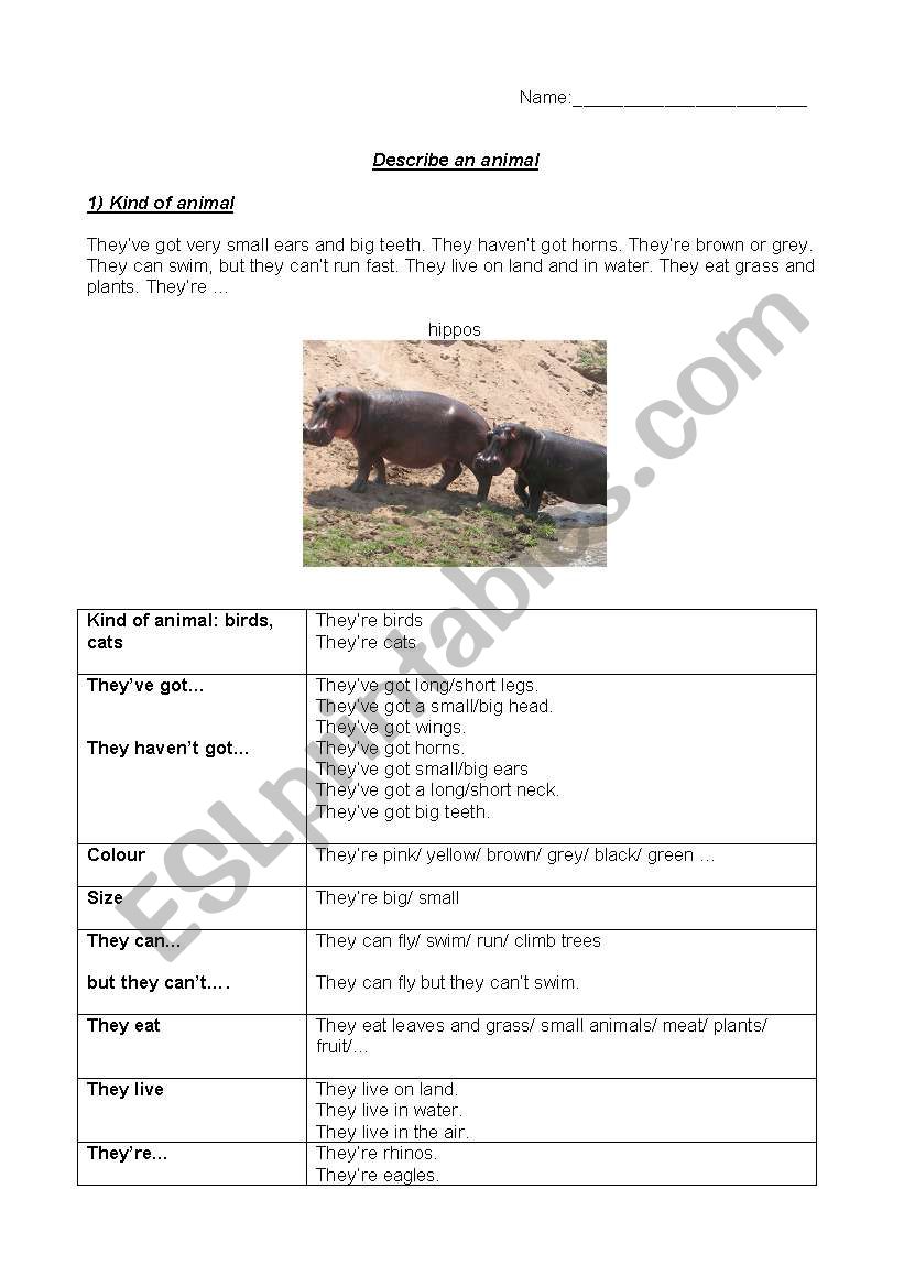 Set of 3 worksheets Description of animals
