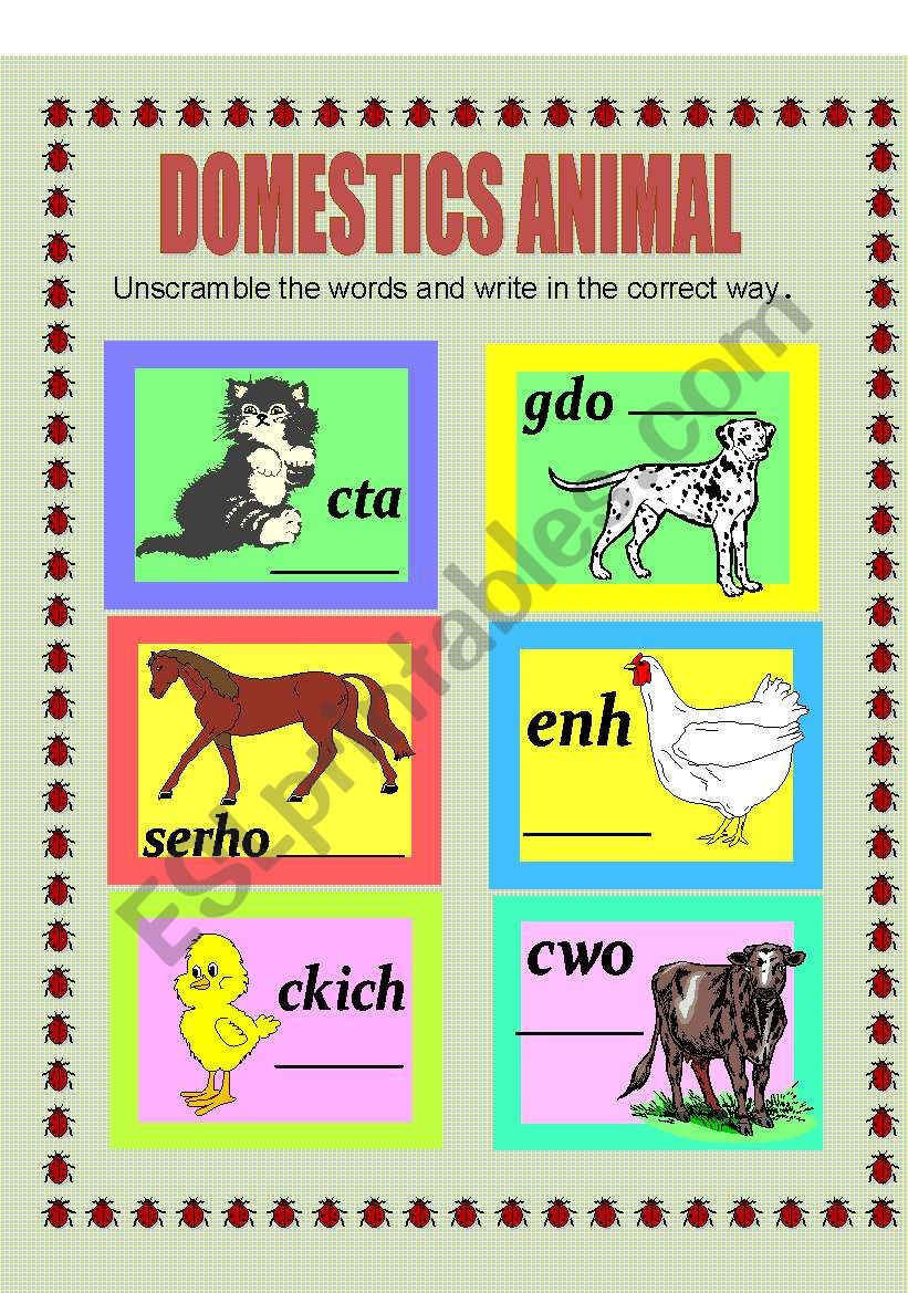 DOMESTIC ANIMALS worksheet