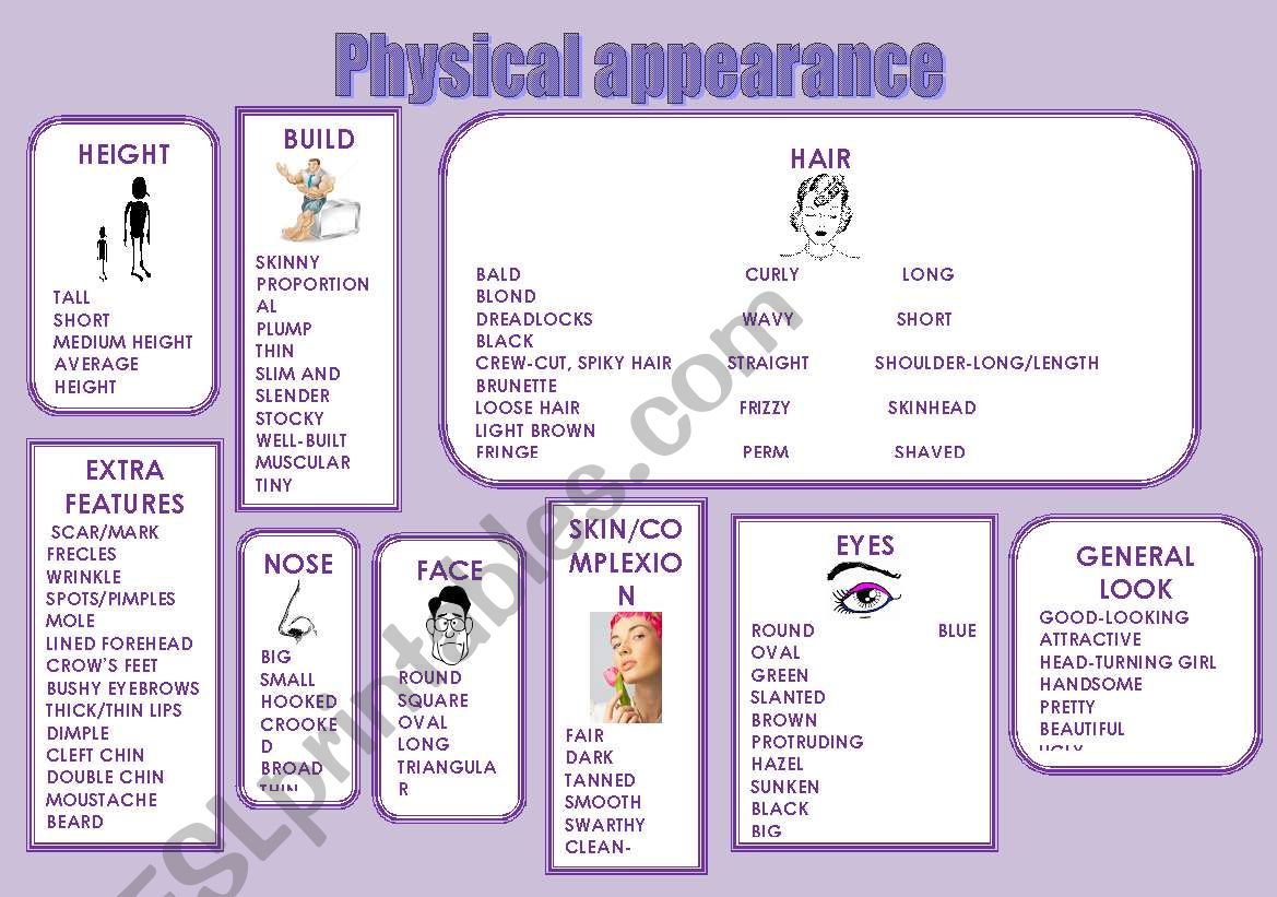 PHYSICAL APPEARANCE worksheet