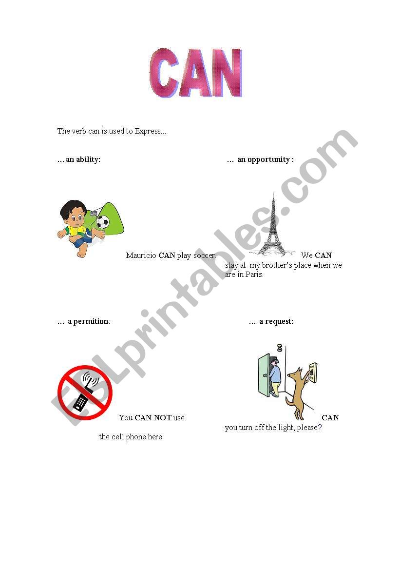 Uses of CAN worksheet