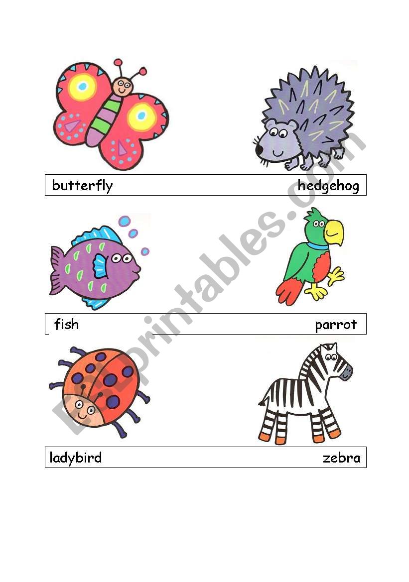 animals worksheet