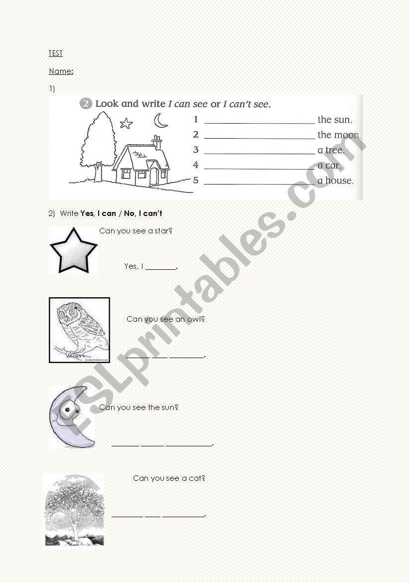 I can see/ I cant see worksheet