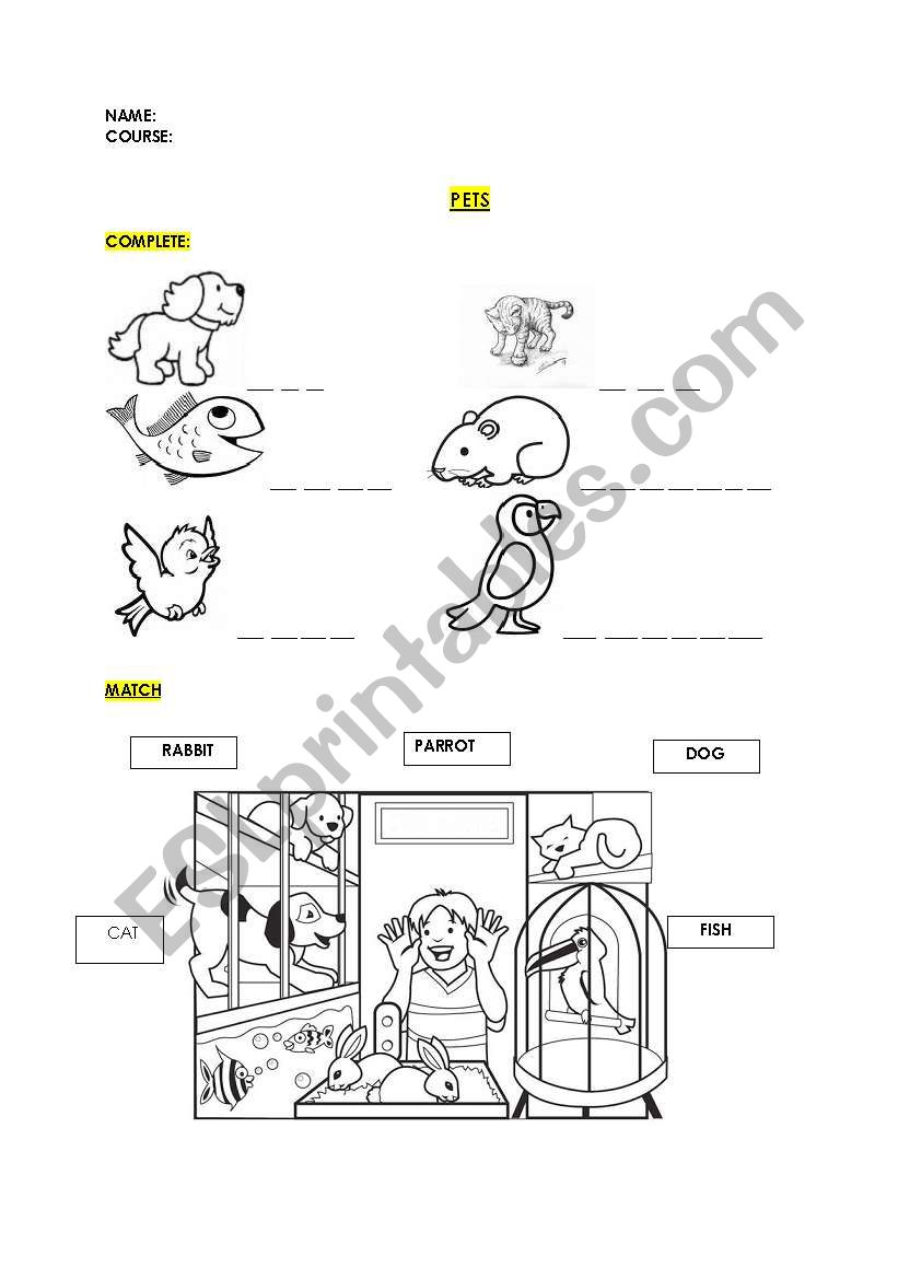 PETS worksheet