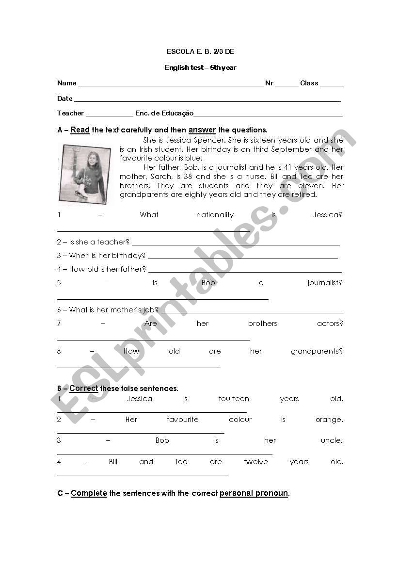 Test - objects and plurals worksheet