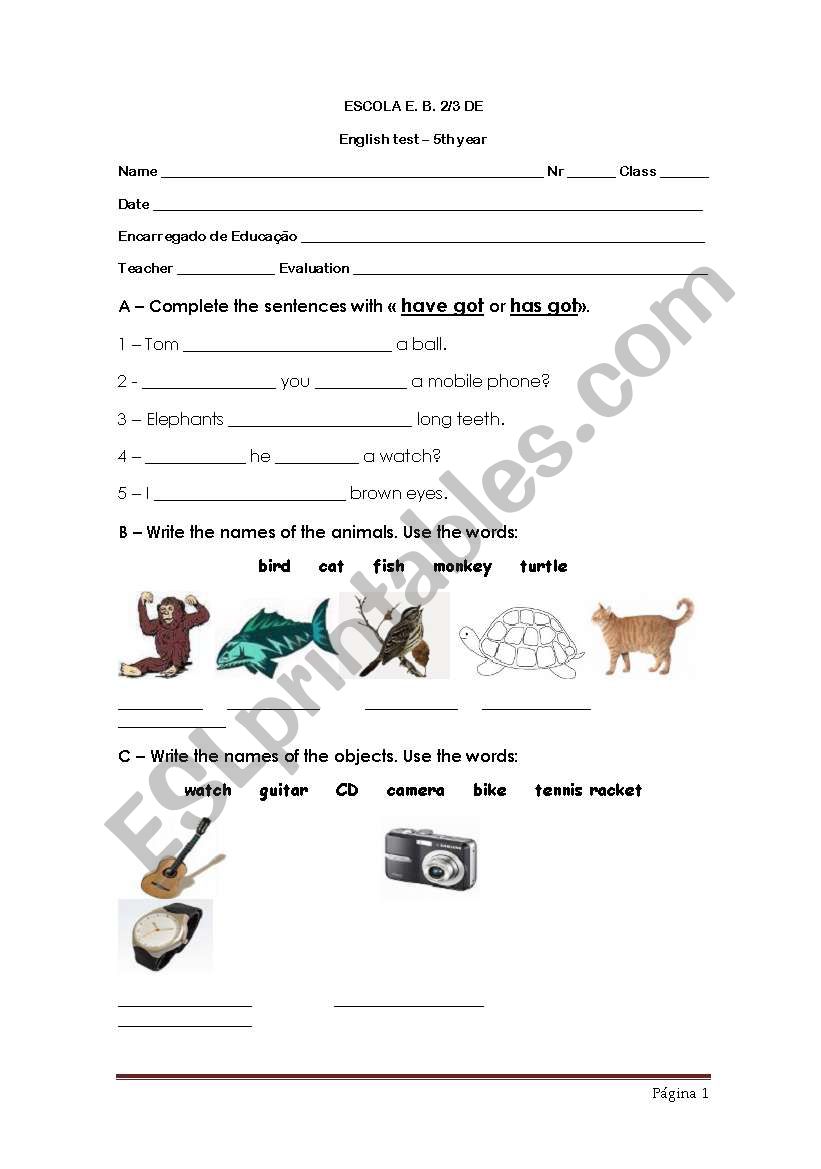 Test : have got, objects, animals and describing animals for st. with special needs