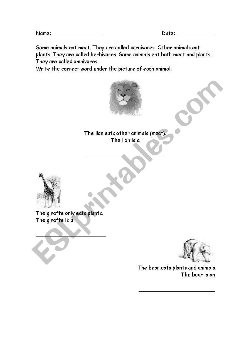 Animalss food worksheet